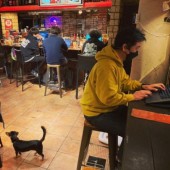 Quán cà phê chỉ dành cho những cây bút chạy deadline